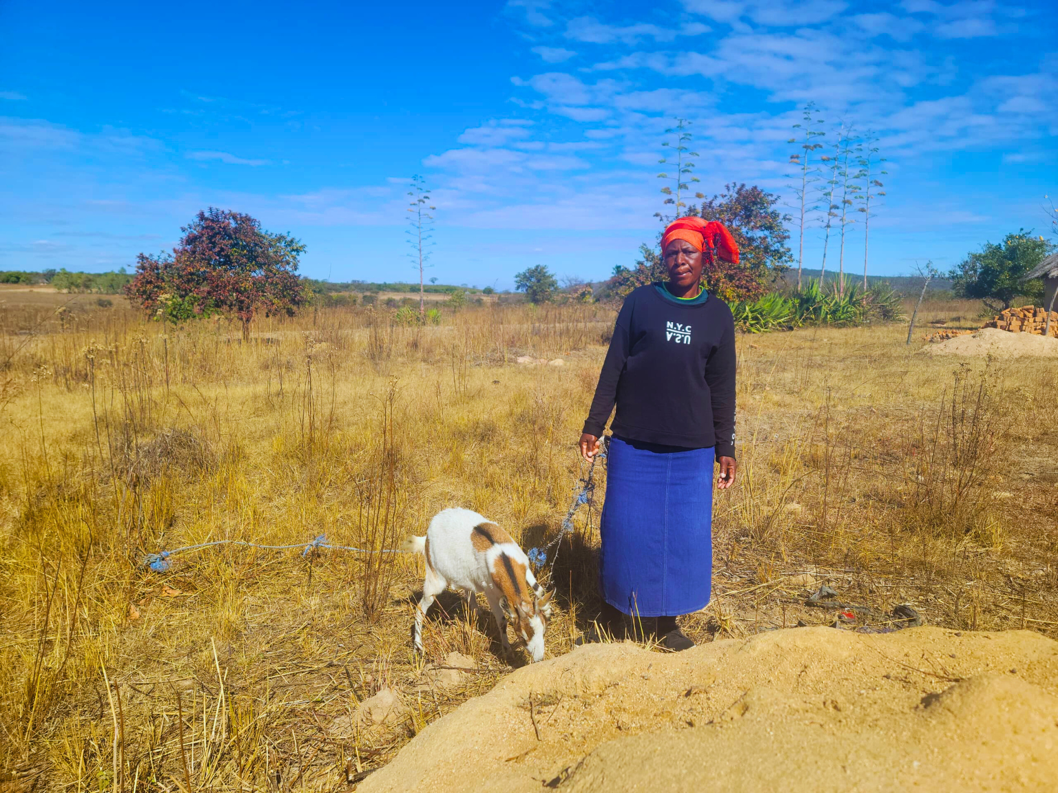 Nyaradzai Muradzi